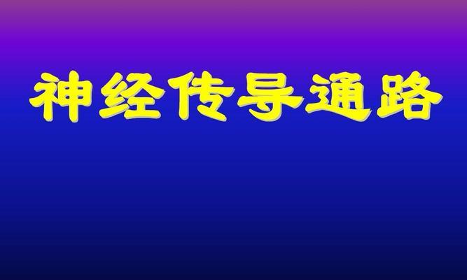 玩转《以人体工厂》听觉车间通关技巧（听觉车间通关攻略，助你轻松过关）