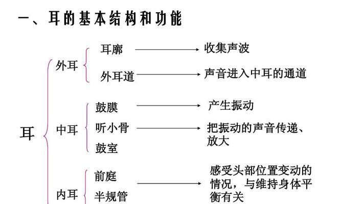 《听觉中枢通关技巧——以人体工厂听觉为例》（如何通过游戏提高听觉中枢的反应速度？）