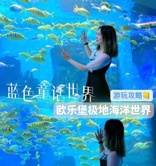 文明大爆炸水族馆与剧场比较（探究哪个更适合游戏爱好者）