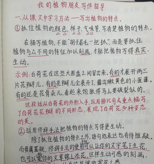 探秘游戏世界中的“起源不妨游衍莫忘归”称号（如何获得这个神秘而又珍贵的游戏称号）