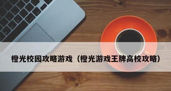 从游戏到王牌高校——黎美琴的成长之路（一个游戏玩家的逆袭故事）