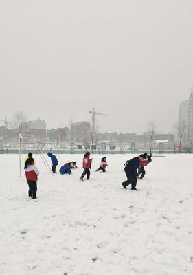 《忽略不了的雪地宝藏》（探索被忽略的物资点）