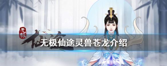 无极仙途（助你成就无极仙途中的圣者之路）