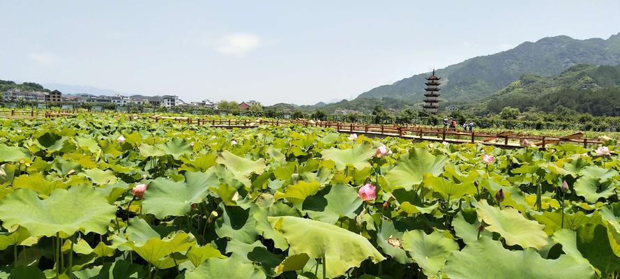 探索武义九州城村（穿越九州城村）