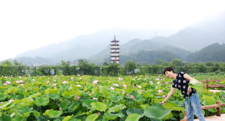 《武义九州新手玩法攻略指南》（玩转九州）