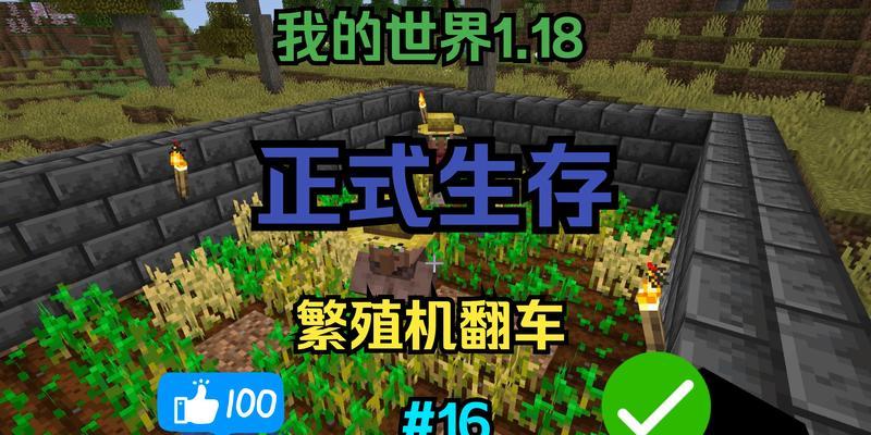 我的世界网易版1.18海岛生存技巧有哪些？