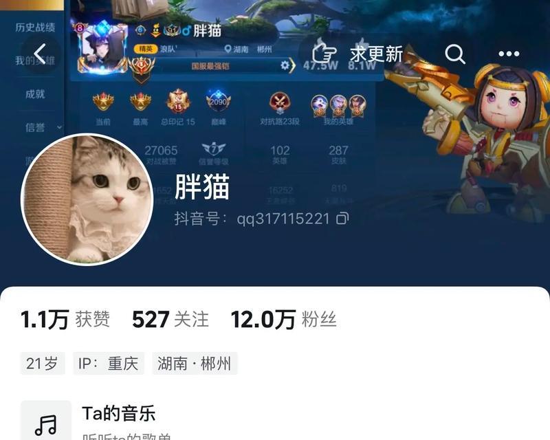 王者荣耀胖猫女友收入是多少？这笔钱的来源是什么？