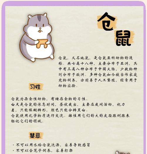 梦幻西游中如何养仓鼠孩子？仓鼠孩子的养成方法是什么？